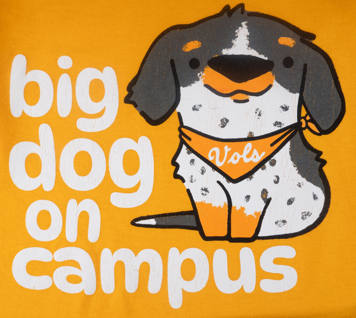 Youth Big Dog on Campus tee - The Volunteer Club