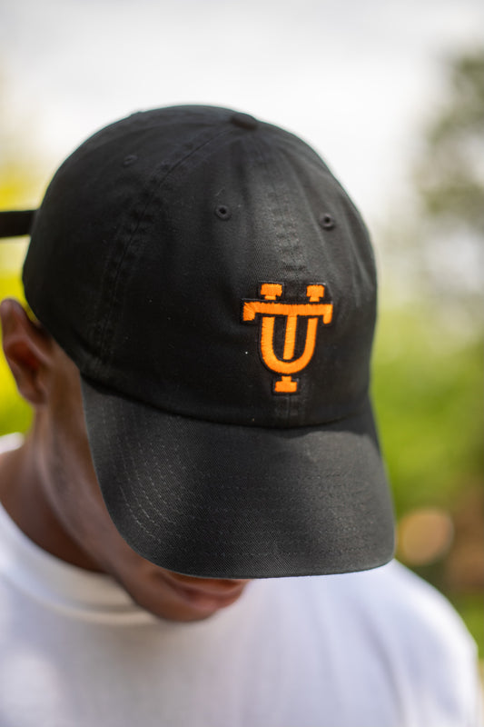 Classic Interlocking UT Hat