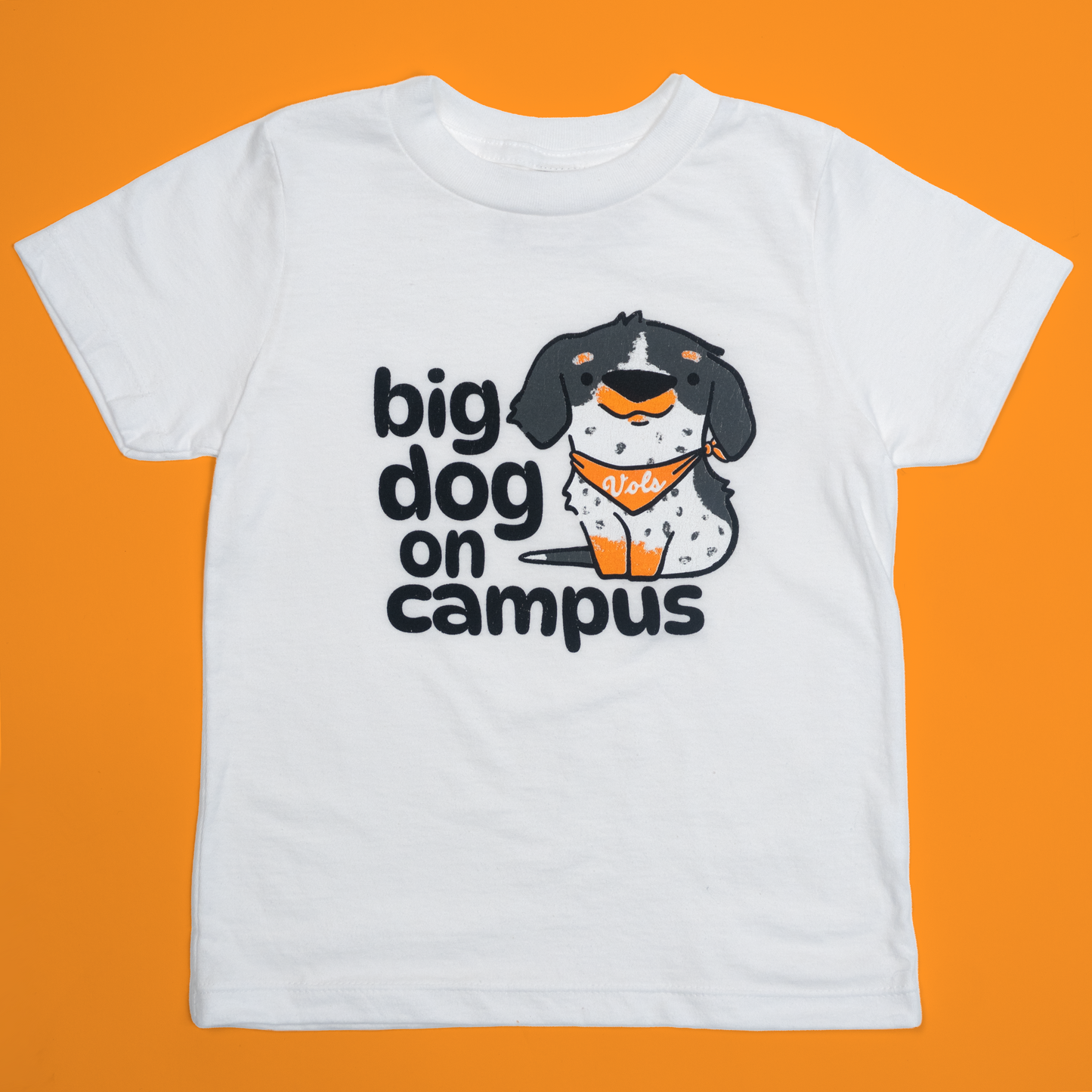 Toddler Big Dog on Campus tee