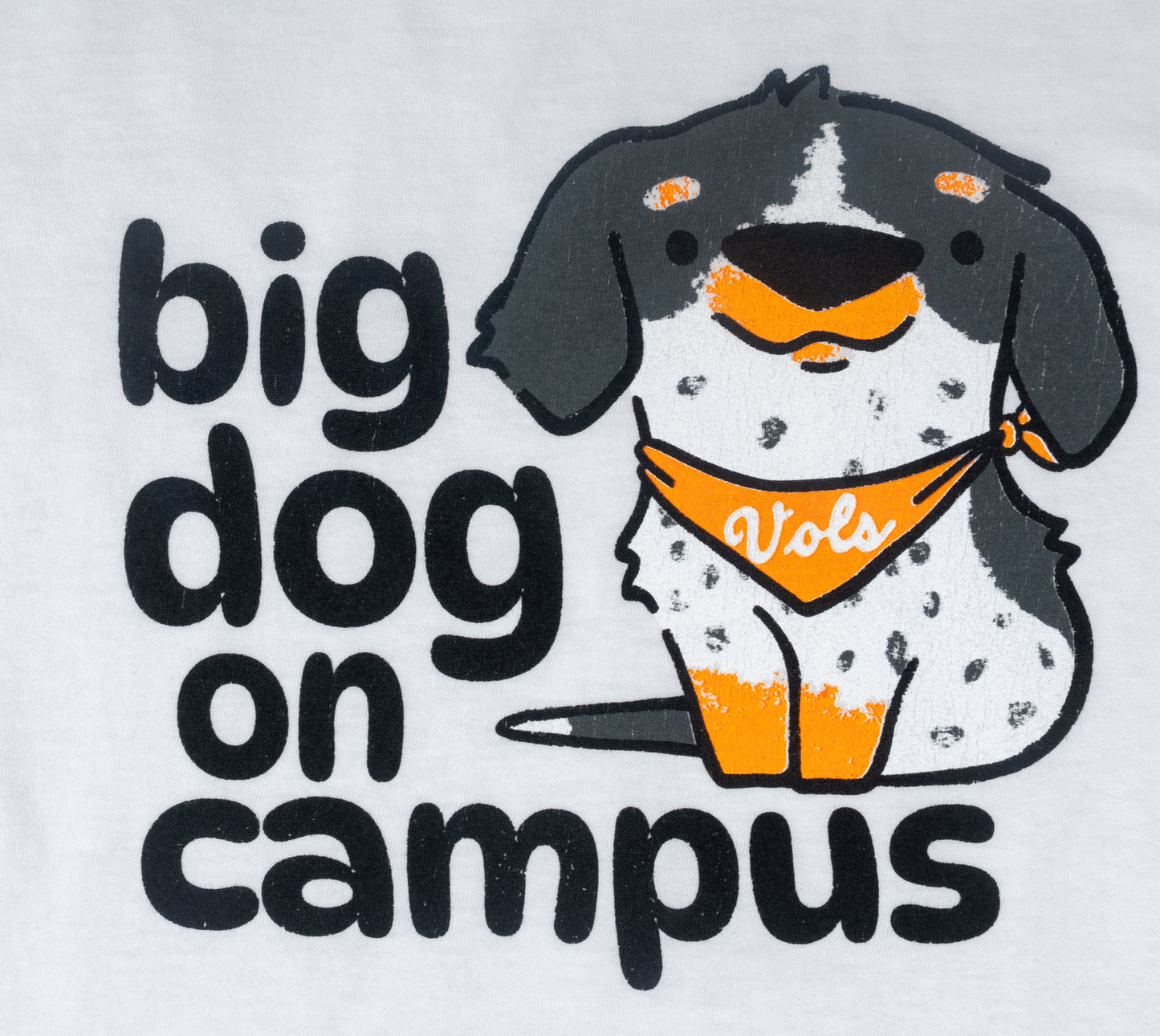 Toddler Big Dog on Campus tee