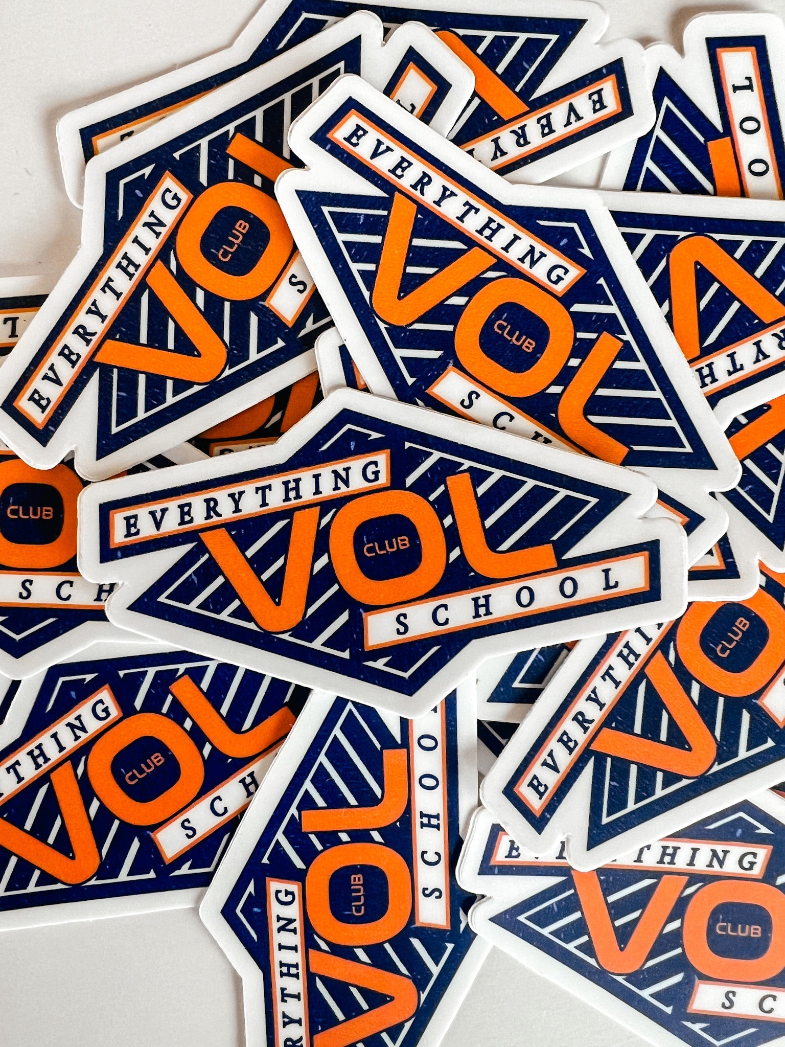 Everything School Sticker - The Volunteer Club