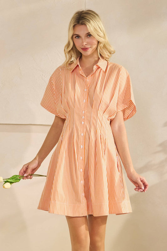 PLEATED STRIPE SHIRT DRESS - The Volunteer Club