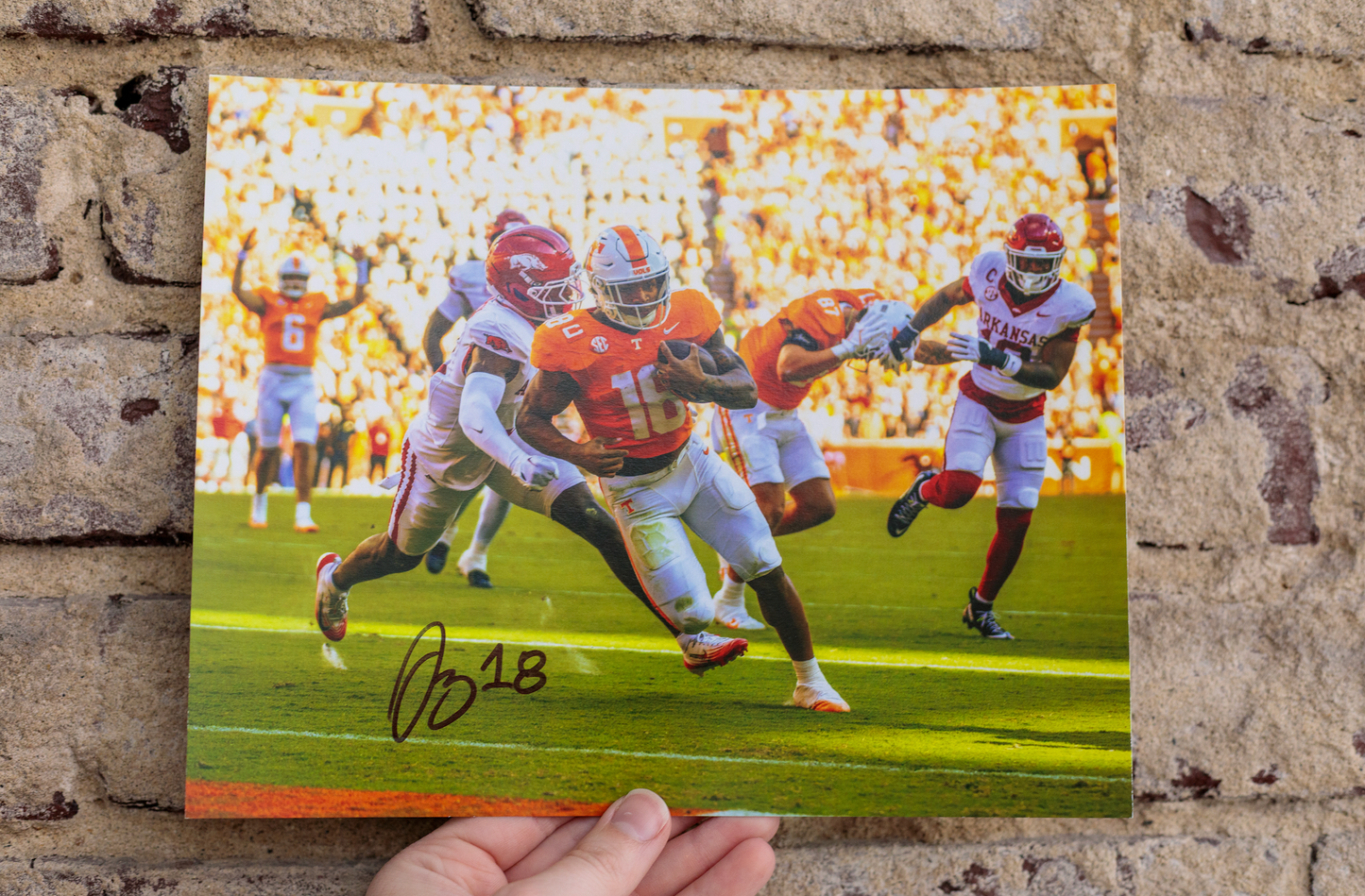 Smokey - The Volunteer Club